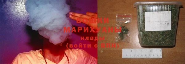 тгк Богородицк