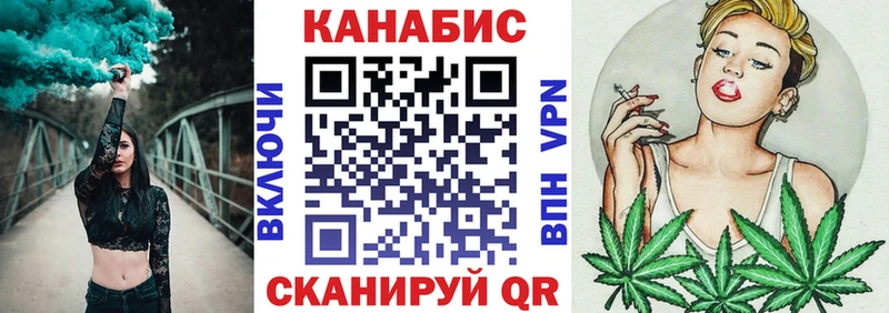 как найти   Дигора  Бошки марихуана THC 21% 